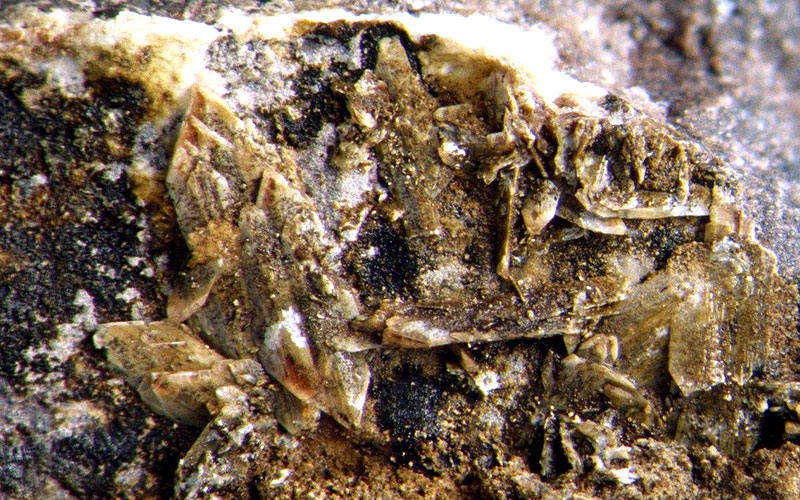 �̿�ѡ���豸