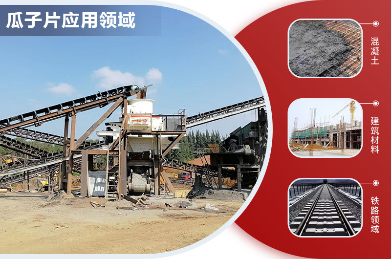 瓜子片应用领域 瓜子片应用领域
