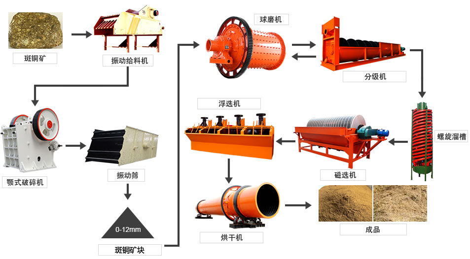 ��ѡ������